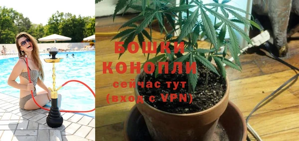 спайс Арсеньев