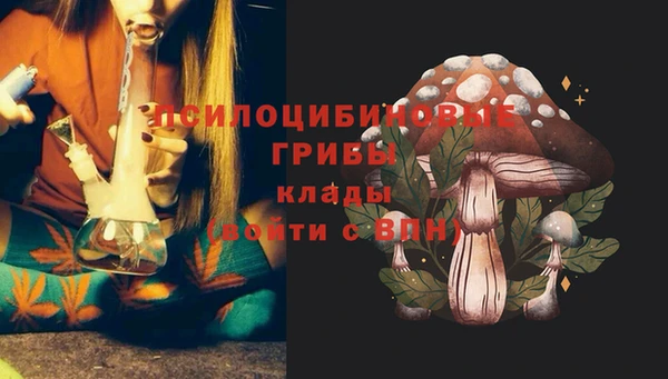спайс Арсеньев