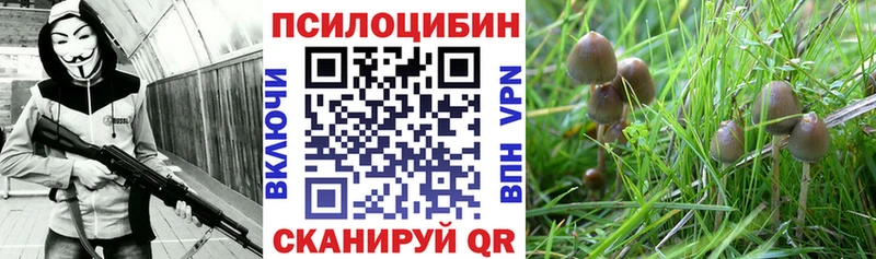 Купить  Скопин  Галлюциногенные грибы мицелий 