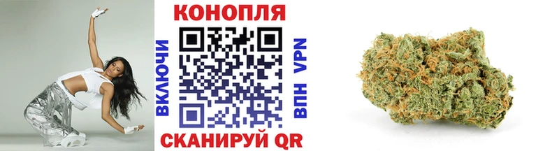 Купить  Скопин  Марихуана сатива 
